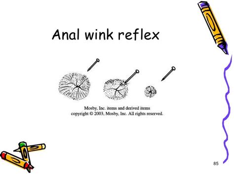 winking anus|Anal wink .